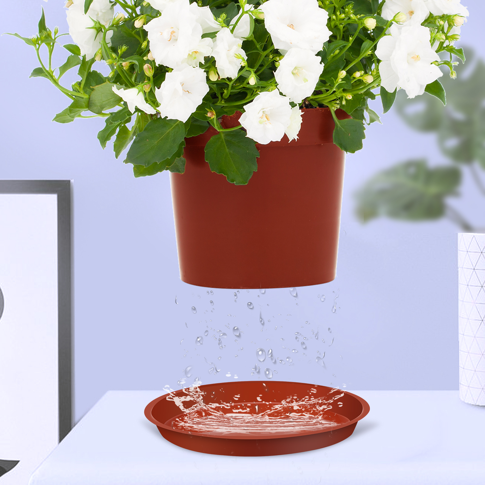 Bocaoying 12 Pcs Plastic Plant Saucer Tray, 5.5 / 6.3 / 9.5 Inch Plant Drip Pans Tray To Catch Water with 12 Pcs Labels, Heavy Duty Plant Pot Trays for Indoors Outdoors