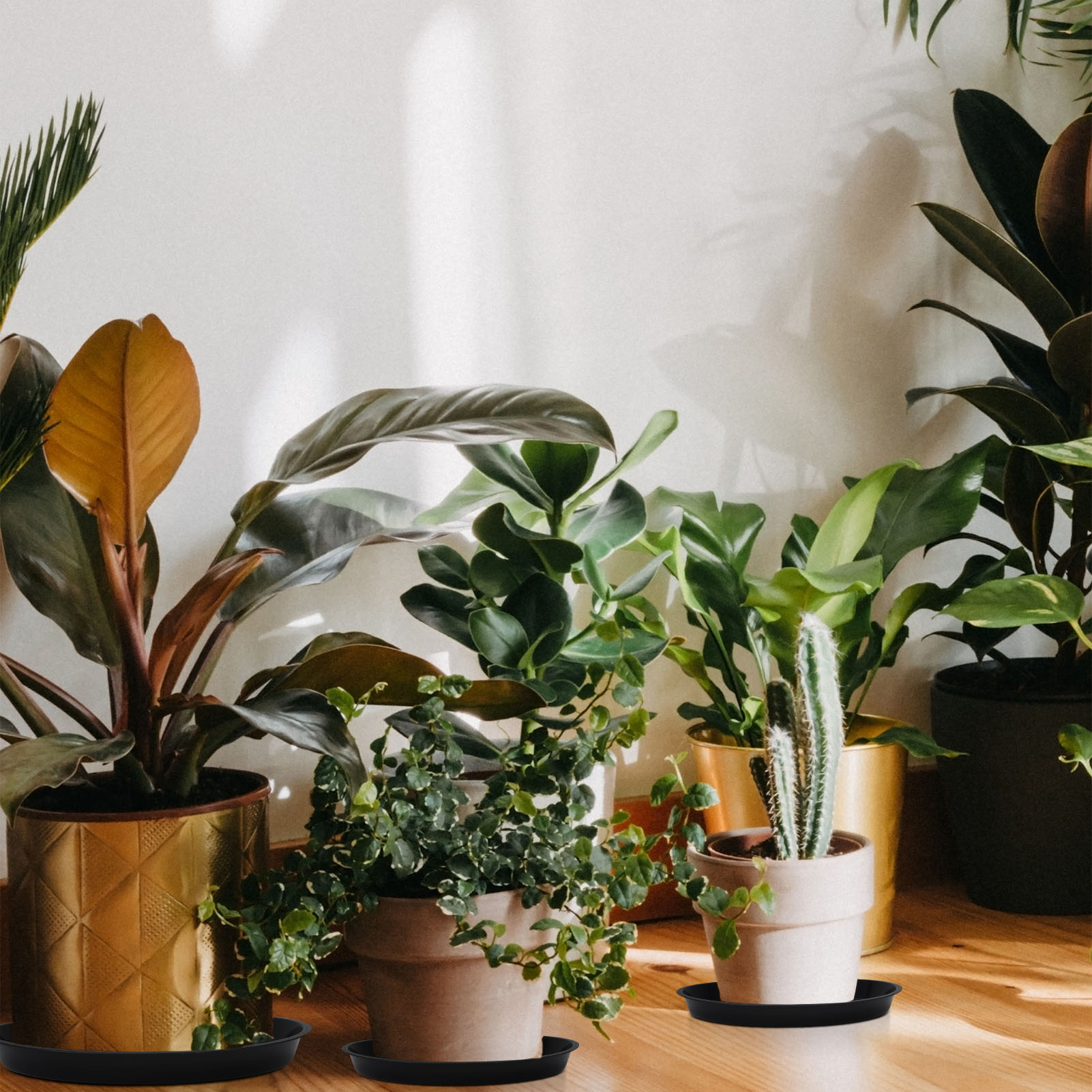 topjuju 15 Pcs Large Plant Saucers, 10/12/14 inches Plastic Plant Trays to Catch Water, Extra Large Plant Saucer with Labels, Heavy Duty Plant Drip Trays for Plant Pots Indoors Outdoors