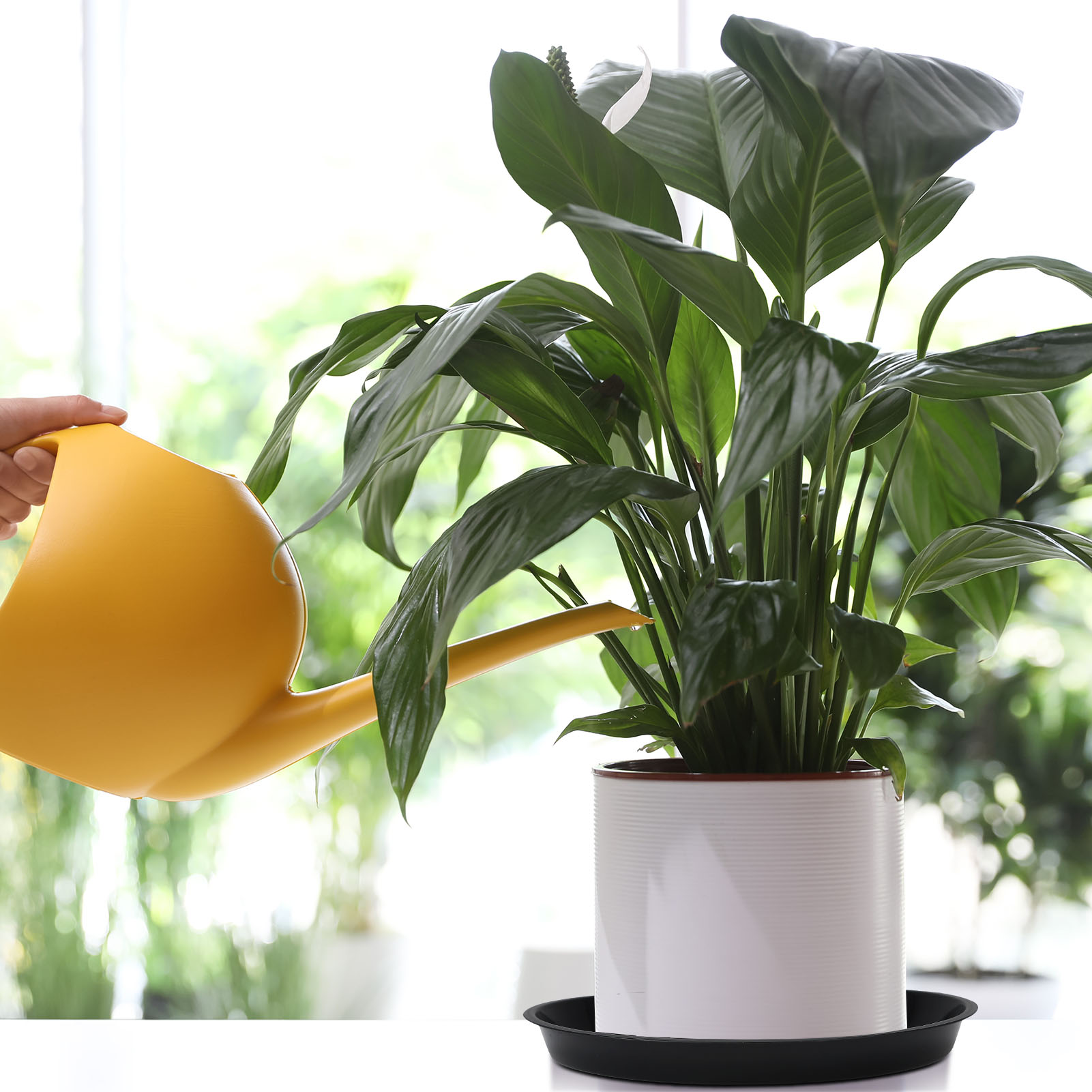 topjuju 15 Pcs Large Plant Saucers, 10/12/14 inches Plastic Plant Trays to Catch Water, Extra Large Plant Saucer with Labels, Heavy Duty Plant Drip Trays for Plant Pots Indoors Outdoors