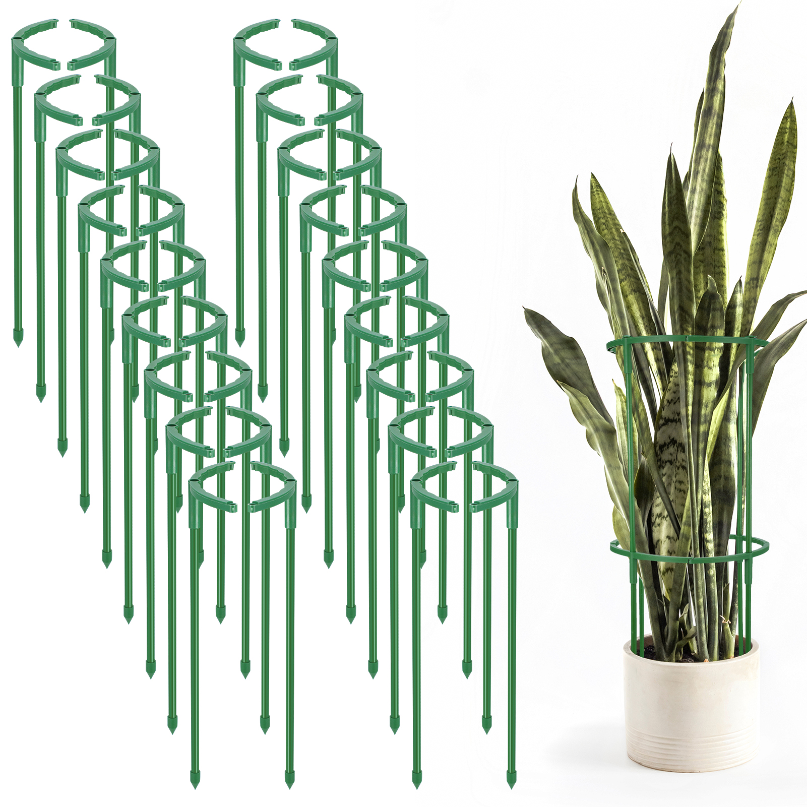 topjuju 36 Pcs Plant Support Stakes, Half Round Plant Support, Stackable Garden Tomato Support, Easy to Install Plant Stakes for Indoor Outdoor Plants Tomato, Monstera, Hydrangea