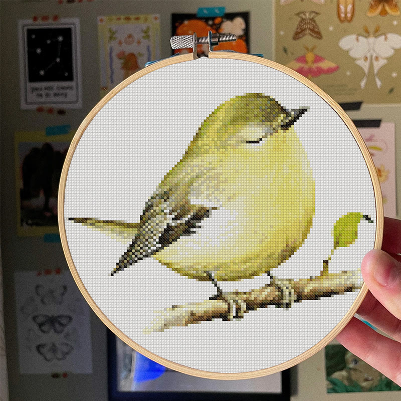  Cross Stitch Kit - Vireo Bird | Handicraft For Bird Lovers | Needle Artwork For Starter - image 6