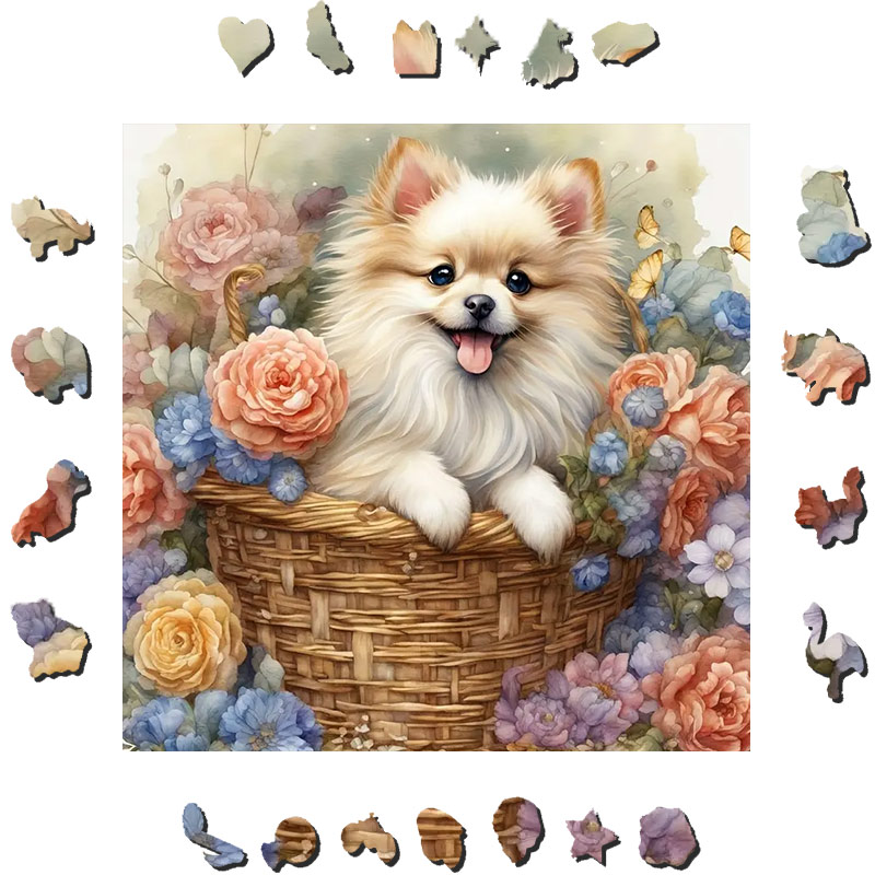 My lovely Pomeranian son - Wooden Jigsaw Puzzle