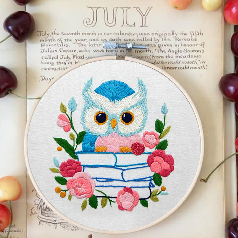 Rubbyoo Embroidery Kit - Owl Loves Reading - image 3