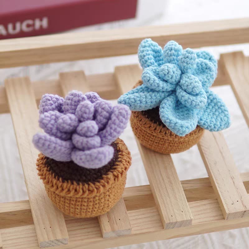 Diy Handmade Colourful Succulent Crochet Kit - Unique Window Decor | Perfect Gifts For Friends - image 2