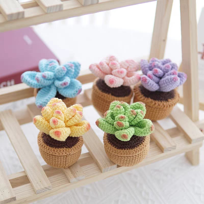 Diy Handmade Colourful Succulent Crochet Kit - Unique Window Decor | Perfect Gifts For Friends - image 1