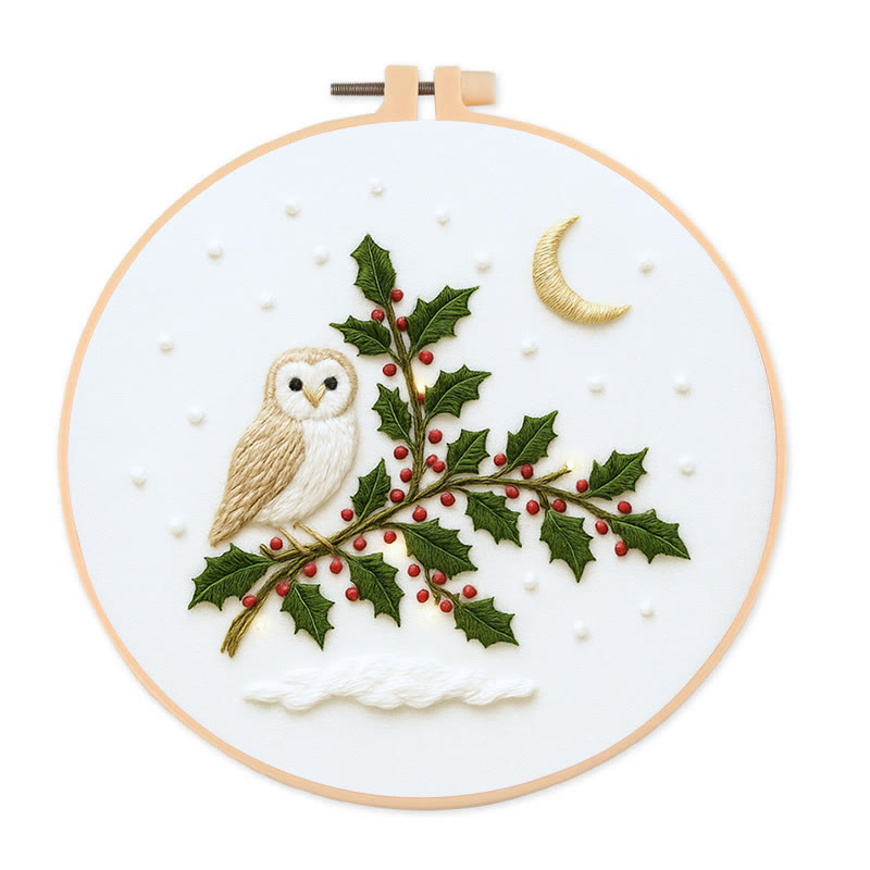 Rubbyoo Embroidery Kit - Winter Owl | Christmas Tree Decor | Diy Holiday Handicraft  - 20*20cm - image 1