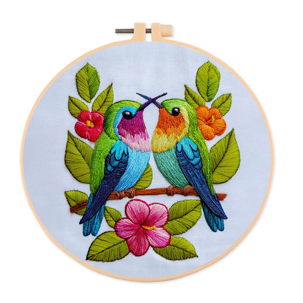 Rubbyoo Embroidery Kit - Colorful Dual Birds with Florals | Couple-Focused Top Gifting Pick | Ideal Anniversary Gift - 20*20cm - image 1