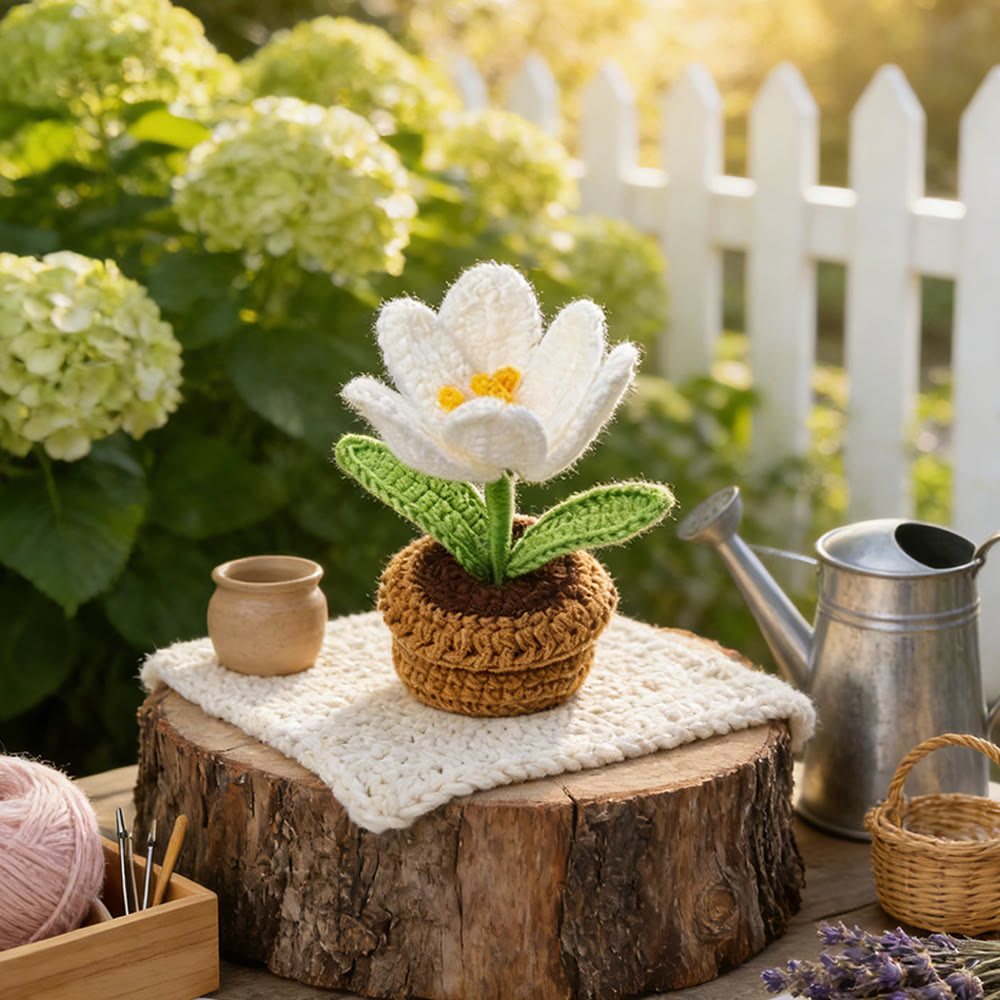 Flower Pot Crochet - Office Table Decor | Nice Birthday Gift - image 4