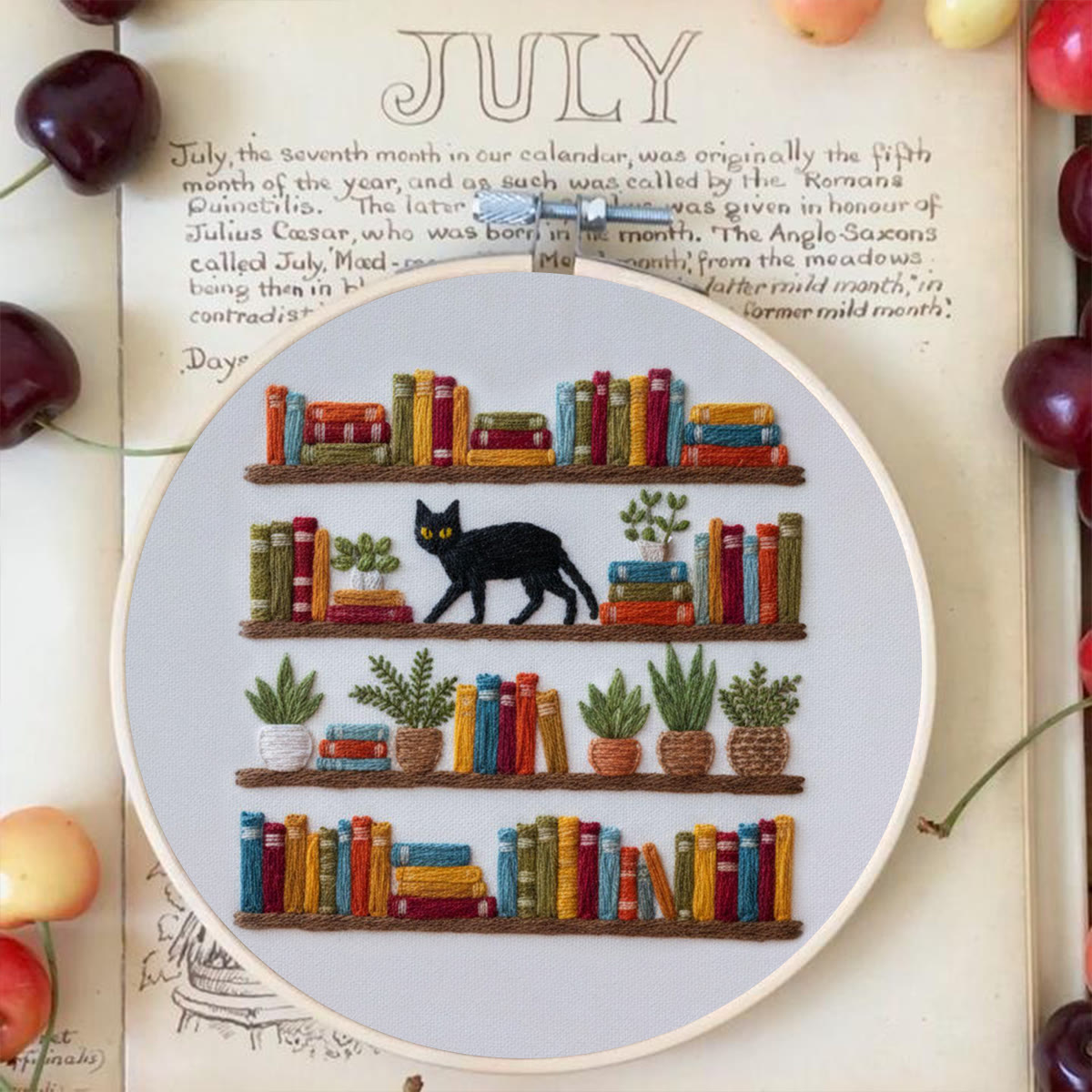 Rubbyoo Embroidery Kit - Bookshelf And Black Cat | Hassle-free Diy | Literary Home Statement - image 3