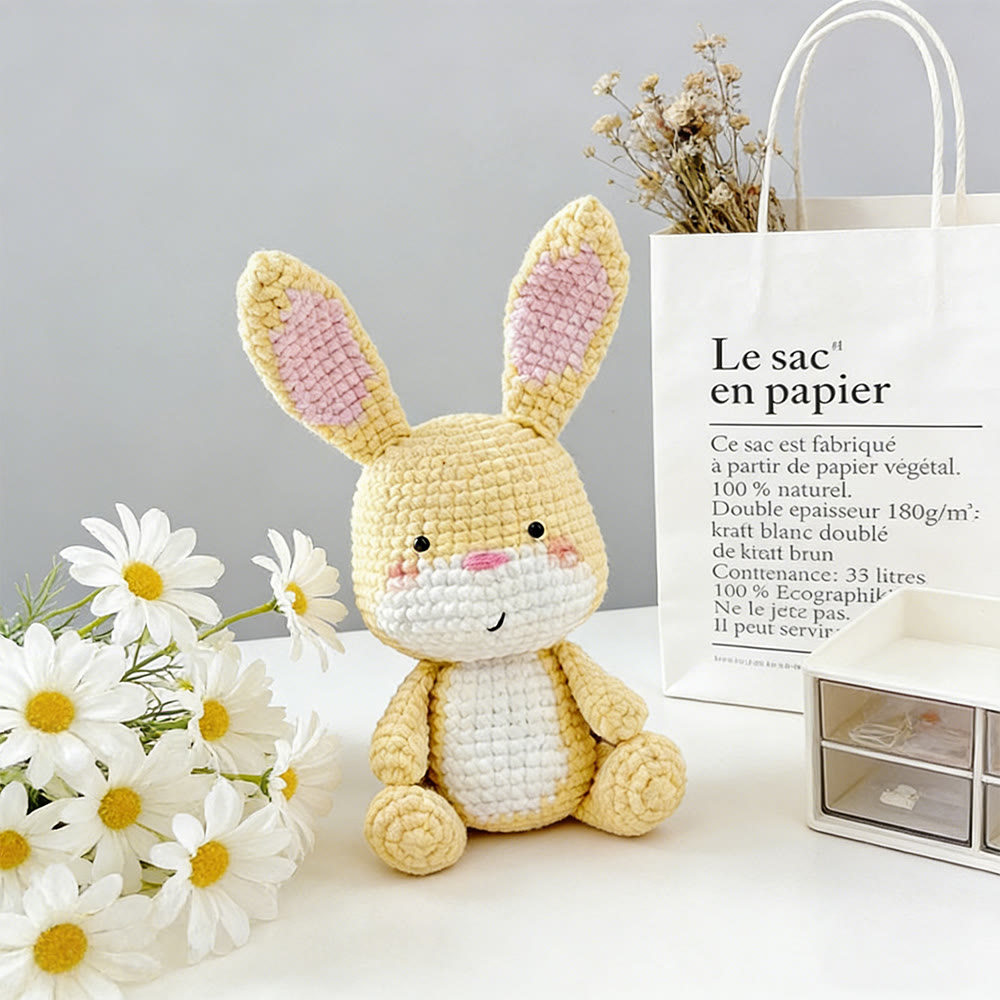 Diy Handmade Lovely Bunny Crochet Kit - Beginners Crochet Kids Toy | Nice Home Ornament - image 1