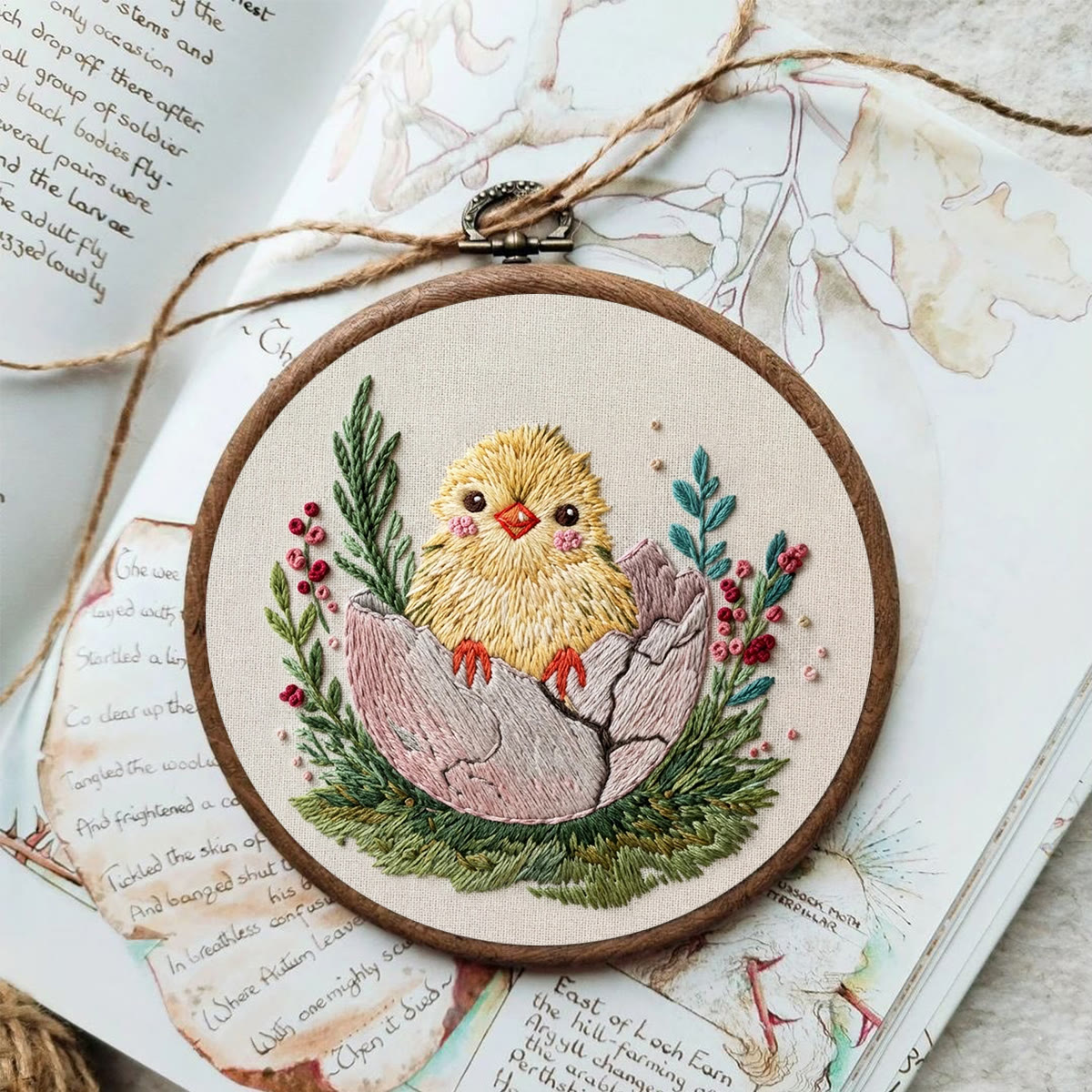 Rubbyoo Embroidery Kit - Spring Chick | Easter Animal Design |  Perfect For Holiday Decoration - image 2