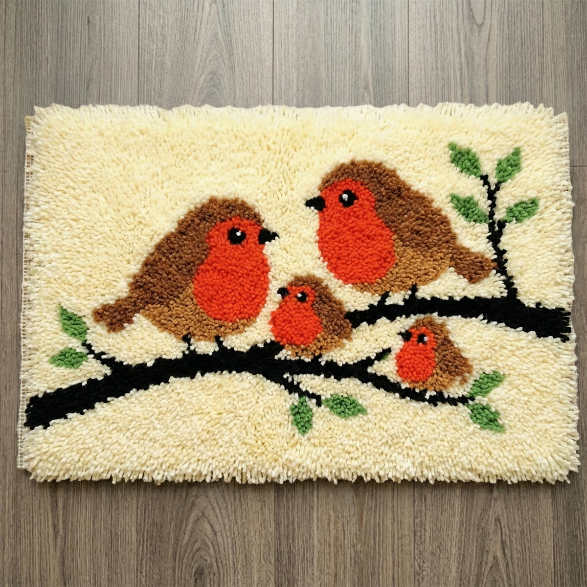 Rubbyoo Latch Hook Rug Kit - Robin Birds | Unique Welcome Doormat | Creative Housewarming Gift - 75×50cm - image 1