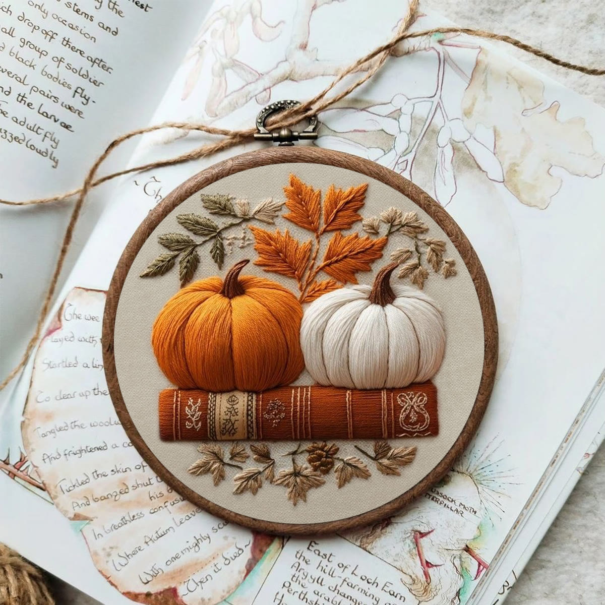 Rubbyoo Embroidery Kit - Pumpkin Story Book | DIY Present For Bookish Friend | Autumn Seasonal Room Accent - image 7