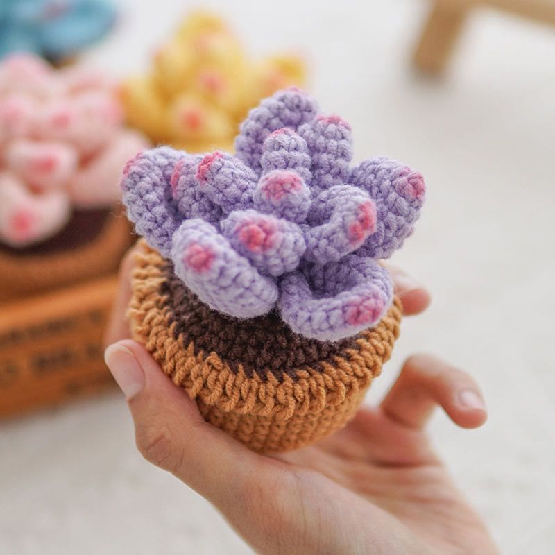 Diy Handmade Colourful Succulent Crochet Kit - Unique Window Decor | Perfect Gifts For Friends - Purple - image 5