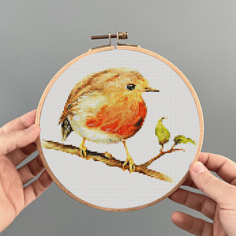  Cross Stitch Kit - Cute Hummingbird | Gifts For Animal Lovers |  Handmade Home Decor - image 4