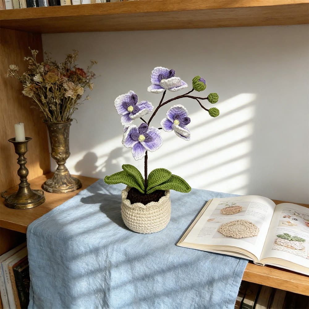 Moth Orchid Crochet - Gradient Color Flower Craft | Office Desk Oranment  - image 5