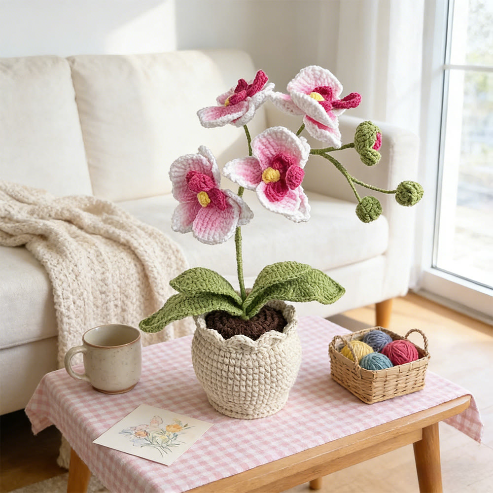 Moth Orchid Crochet - Gradient Color Flower Craft | Office Desk Oranment  - image 4
