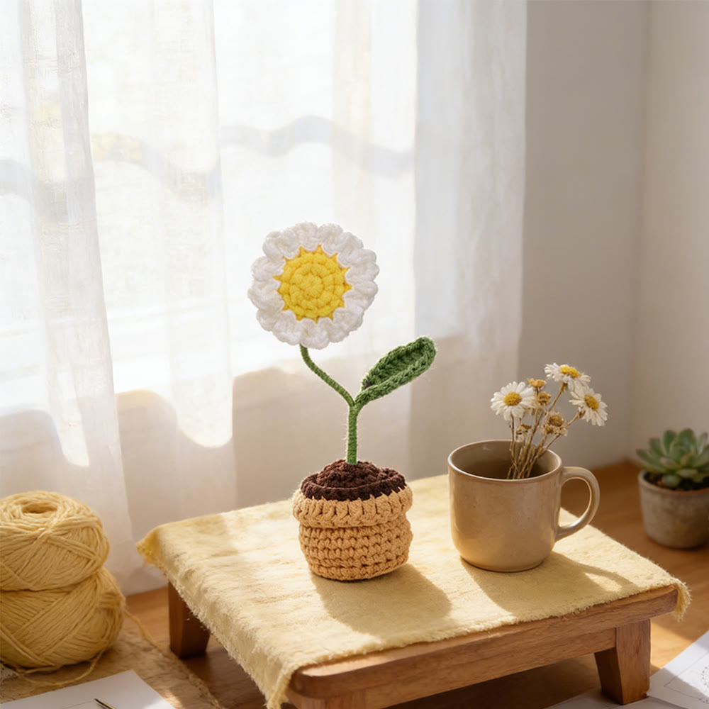 Flower Pot Serie Crochet - Unique Valentines Present | Charming Desk Ornament - Daisies - image 3