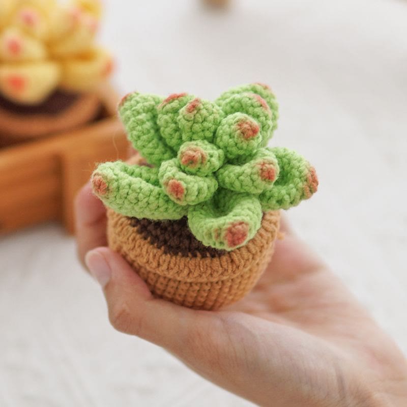 Diy Handmade Colourful Succulent Crochet Kit - Unique Window Decor | Perfect Gifts For Friends - green - image 7