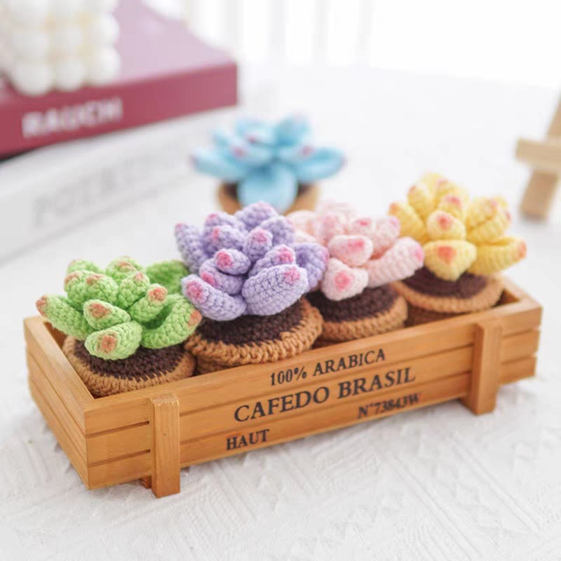 Diy Handmade Colourful Succulent Crochet Kit - Unique Window Decor | Perfect Gifts For Friends - image 4