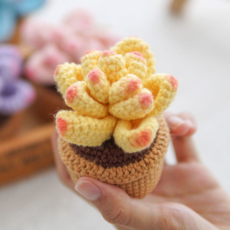 Diy Handmade Colourful Succulent Crochet Kit - Unique Window Decor | Perfect Gifts For Friends - yellow - image 8