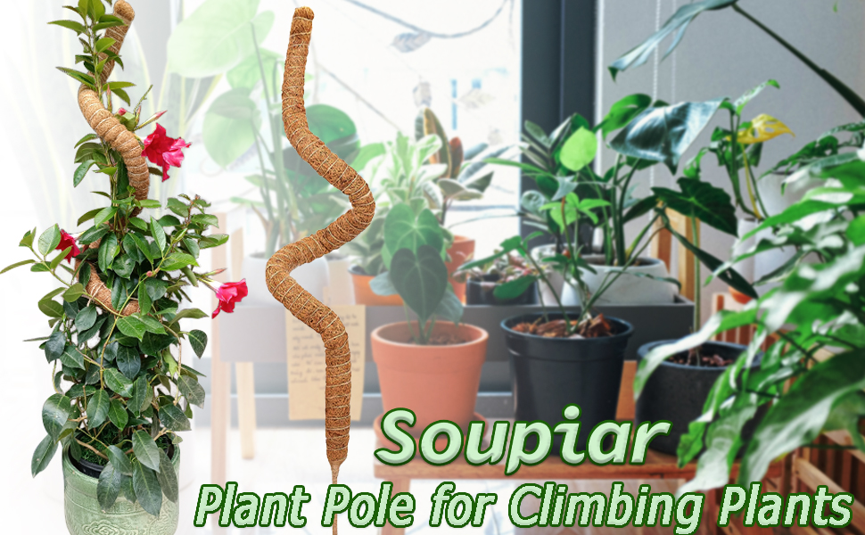 Plant Pole for Climbing Plants