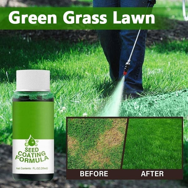 Last Day 49% OFF - GreenRevive HydroSeeding Lawn Solution🌱LIMITED TIME OFFER