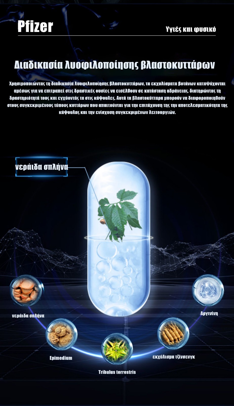 Constru&ccedil;&atilde;o de site do sistema de p&aacute;gina &uacute;nica COD. entre em contato com QQ: 494906791/WeChat: Cod_web