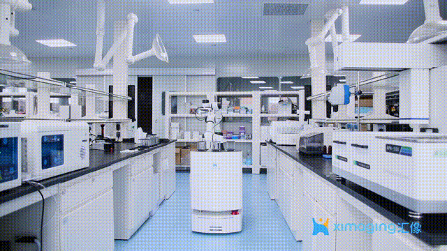 Construção de site do sistema de página única COD. entre em contato com QQ: 494906791/WeChat: Cod_web