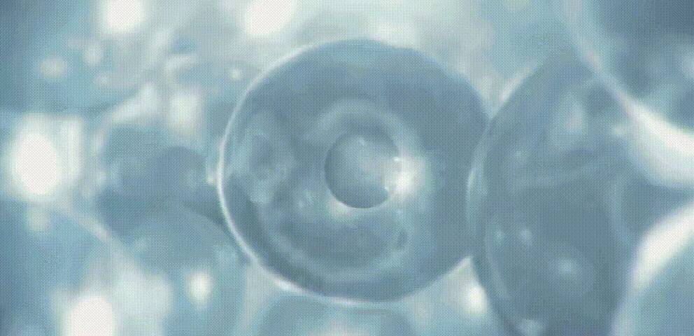 Construção de site do sistema de página única COD. entre em contato com QQ: 494906791/WeChat: Cod_web