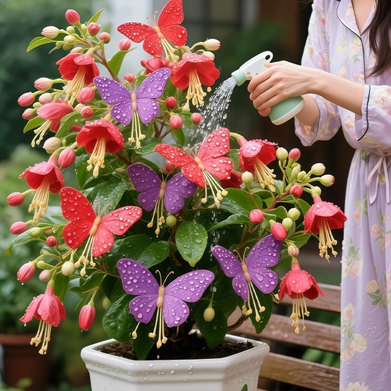 Mixed Golden Butterfly Hanging Vine Seeds