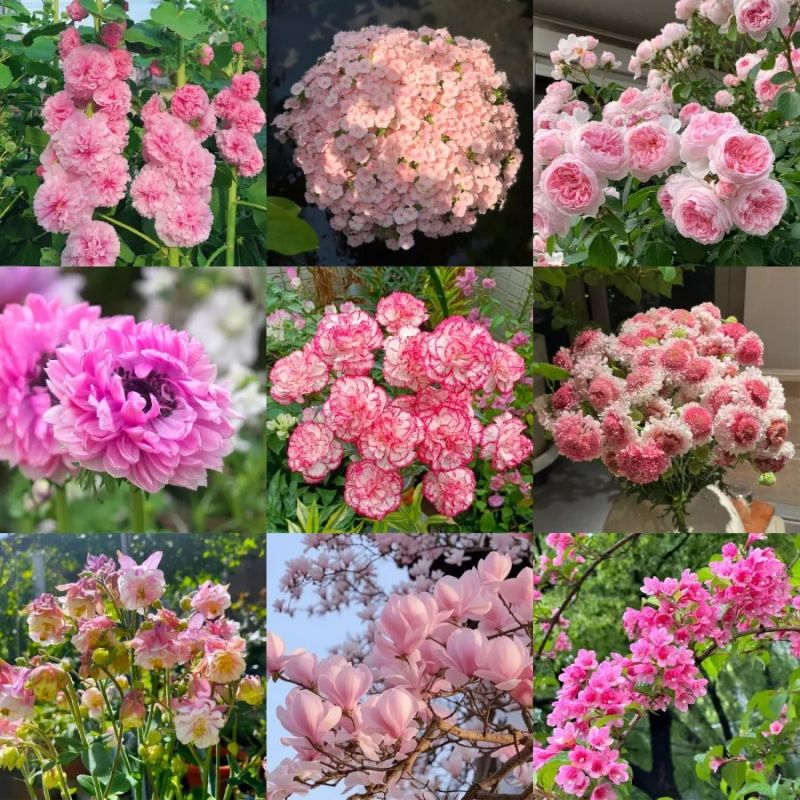 Pink mixed flower blind box 🩷
