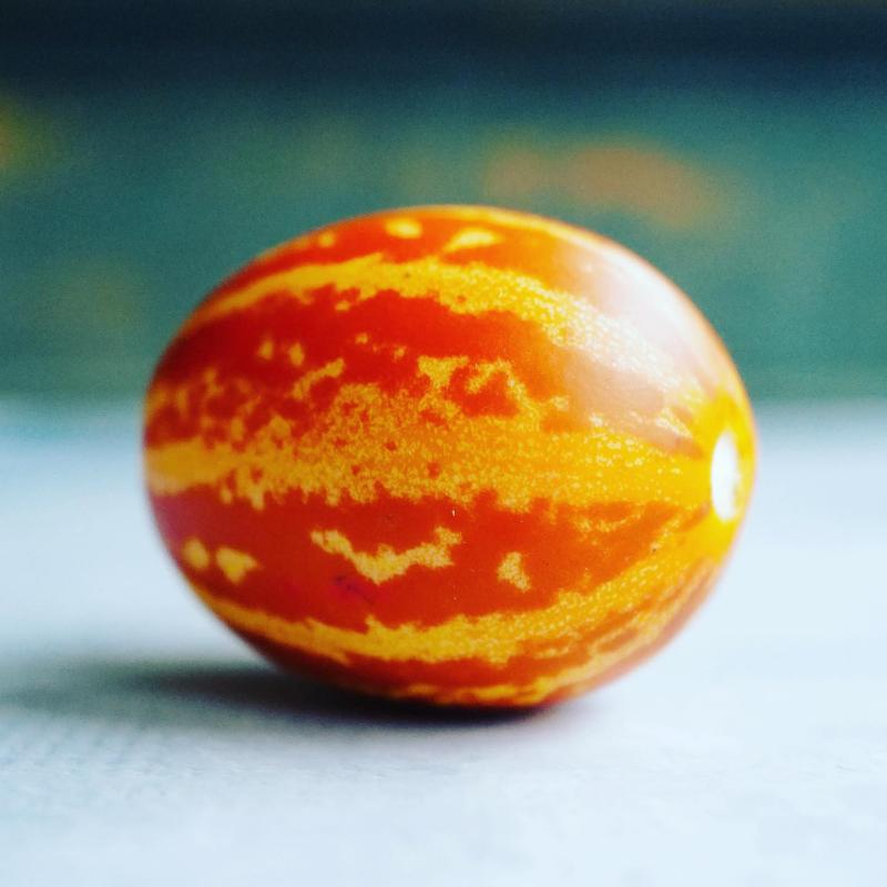 Rare Tigger Melon SeedsSweet Exotic Melons, Grow and Eat