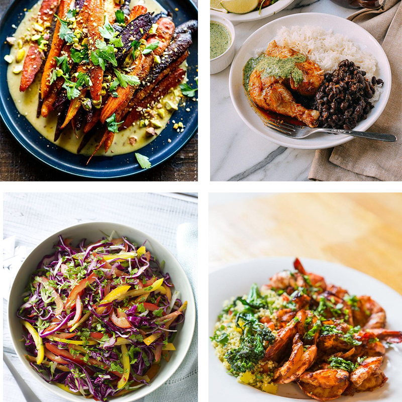 Coriander 🌱 Pot Selection seeds