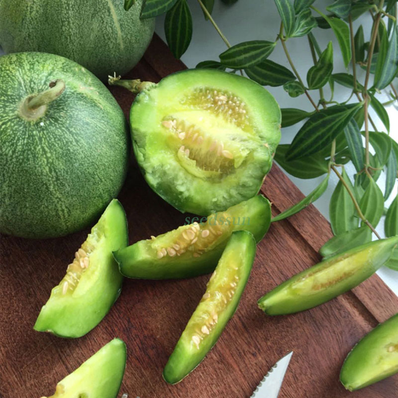 Emerald Melon Seeds