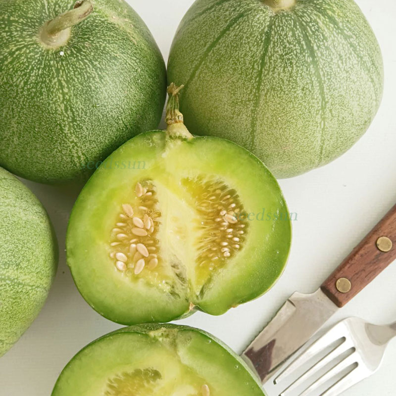 Emerald Melon Seeds