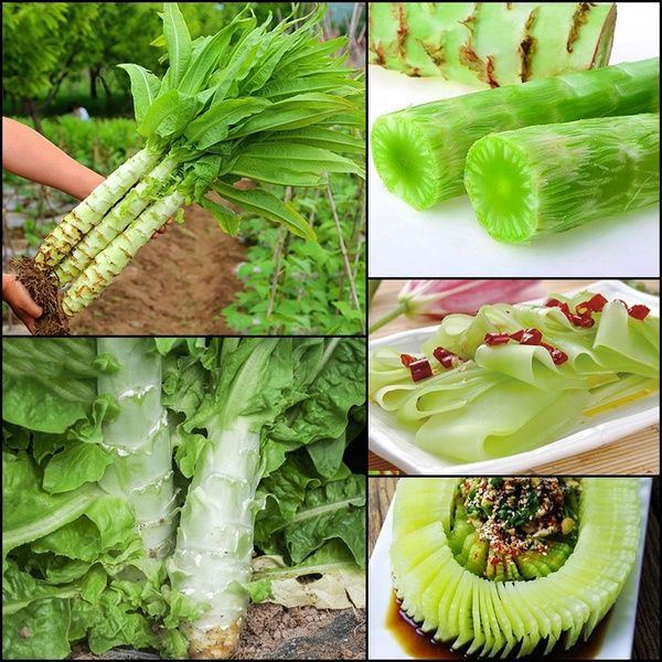 High Quality Asparagus Lettuce Seeds