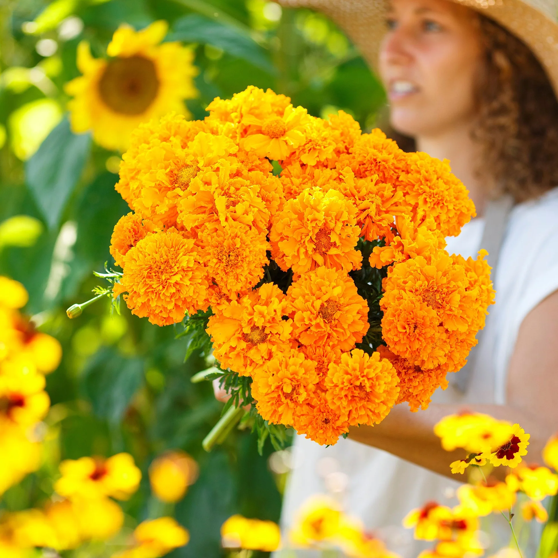 African Marigold Flower Garden Seeds
