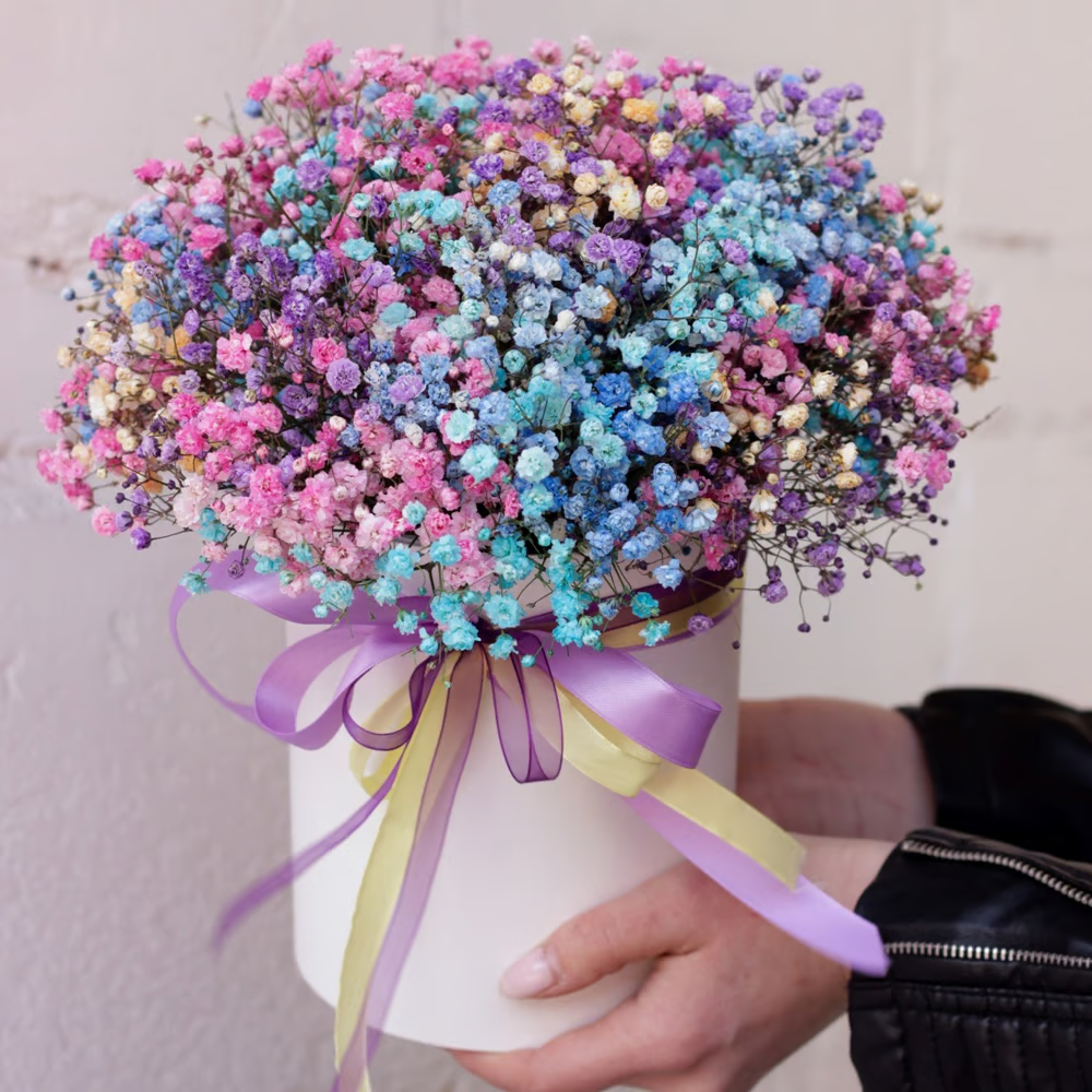 Gypsophila Seeds