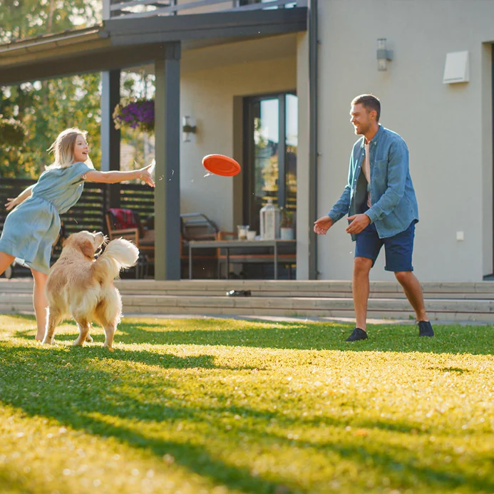 💥Special Price Reduction🔥 Four Seasons Evergreen Grass Seeds