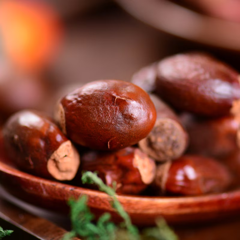 Litchi Chinensis Lychee  Seeds