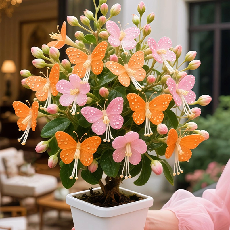 Mixed Golden Butterfly Hanging Vine Seeds