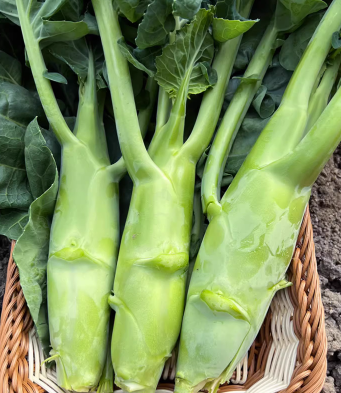 Chicken leg kale seeds