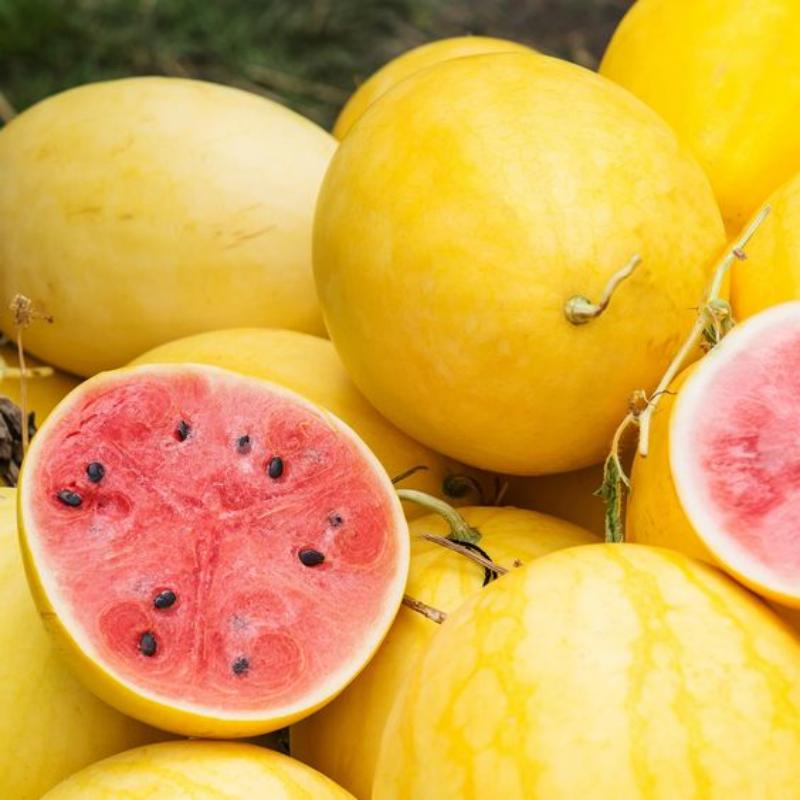 ☀️ Golden Midget Watermelon Seed for Planting - Non-GMO 