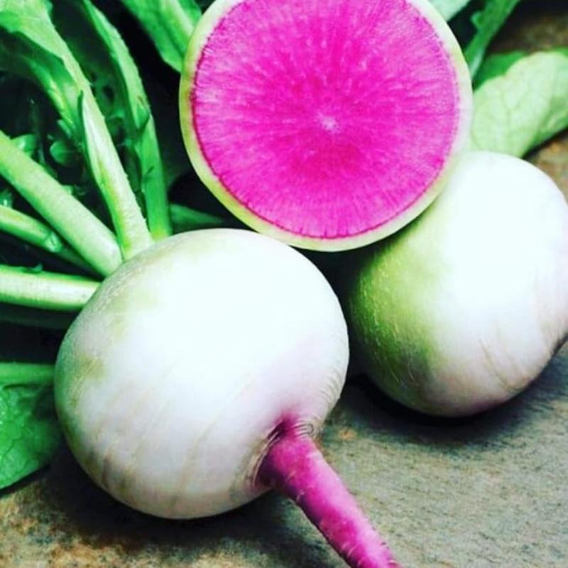 🍉Watermelon Radish Seeds