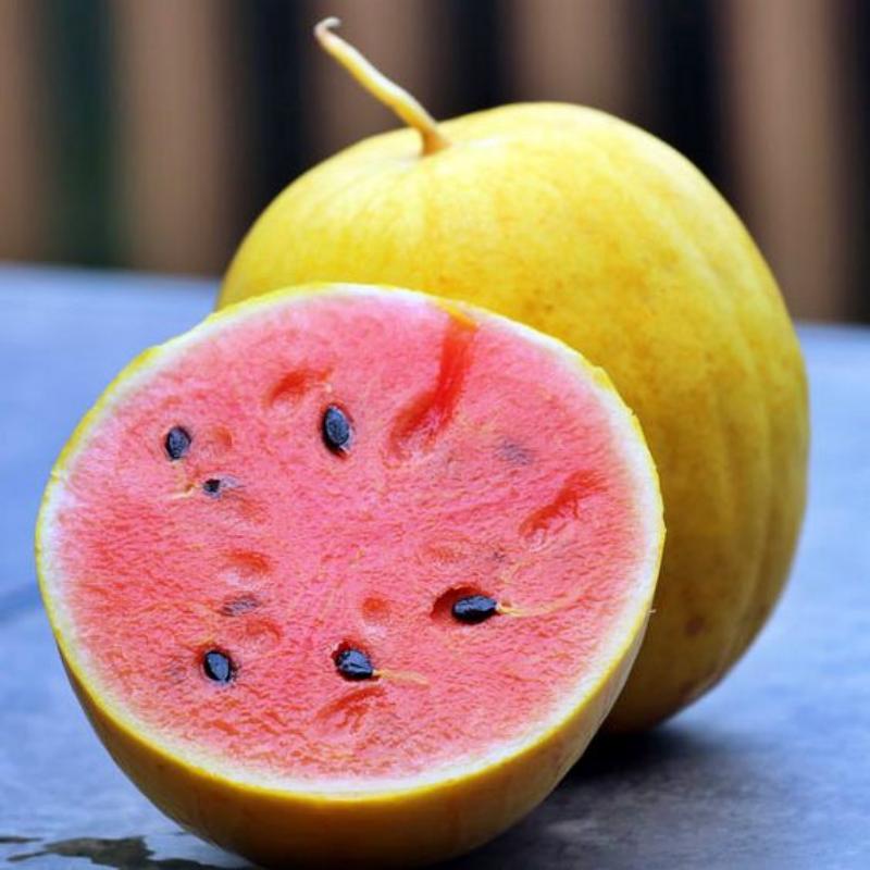 ☀️ Golden Midget Watermelon Seed for Planting - Non-GMO 