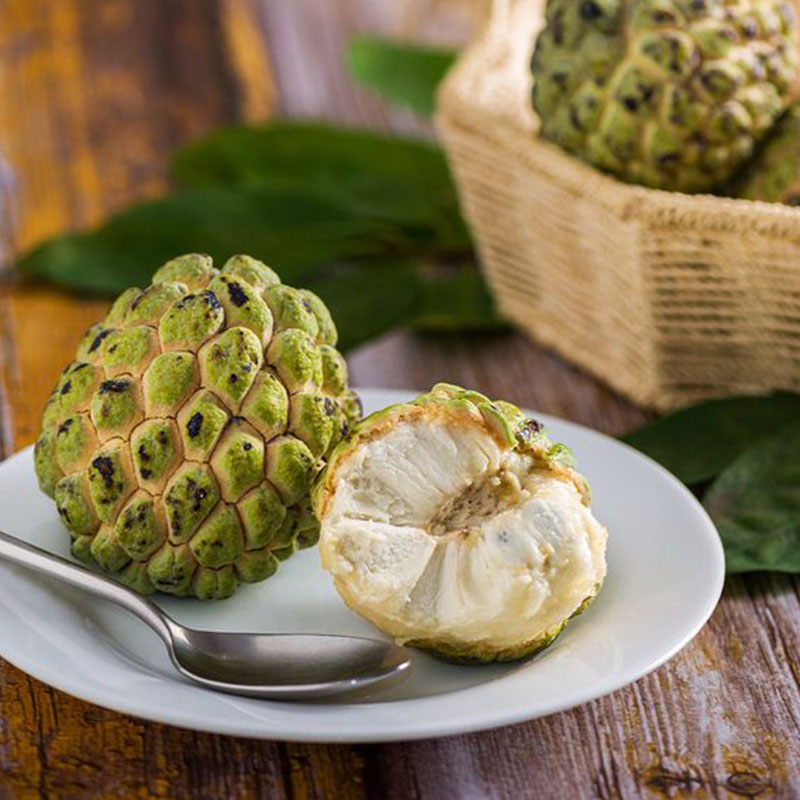 Custard Apple Annona Squamosa Seeds - Sugar Apple, Sweetsop