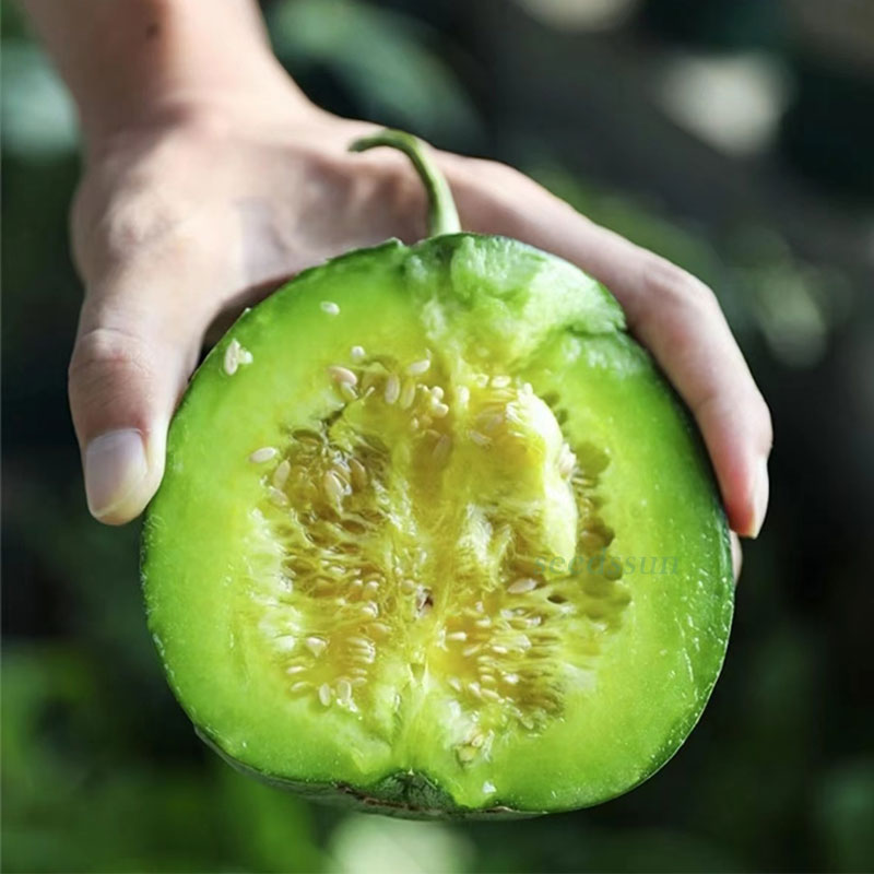 Emerald Melon Seeds