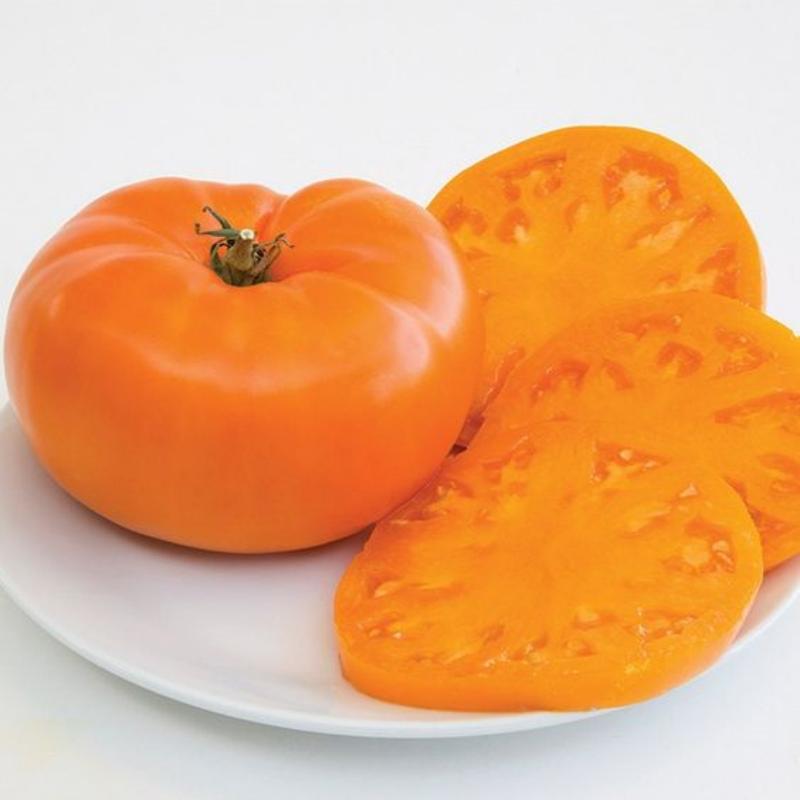 Amana Orange Heirloom Tomato Seeds - Large Tomato - One of The Most Delicious Tomatoes for Home Growing
