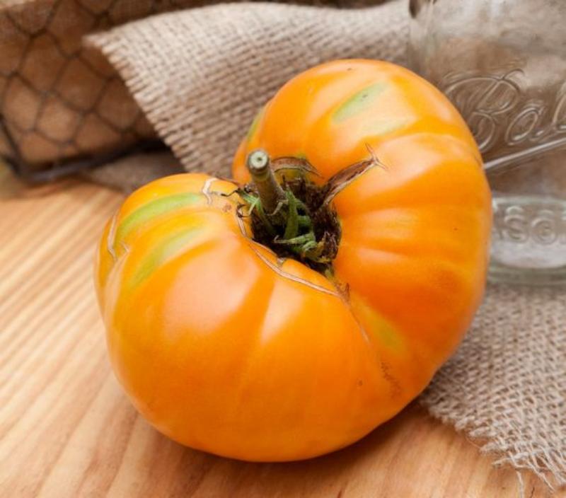 Amana Orange Heirloom Tomato Seeds - Large Tomato - One of The Most Delicious Tomatoes for Home Growing